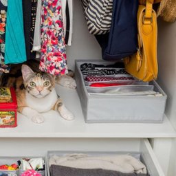 Organizador Dobrável Com 6 Divisórias Cinza Claro Oikos - 4