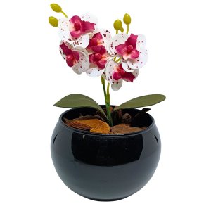 Vaso Decorativo Aquario Preto Esmaltado com Mini Orquídea - Branco Pintada