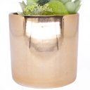 Ver imagem 4 de Vaso Decorativo Dourado com Cactos e Suculenta Artificial 19x8 Cm F04 - D'Rossi