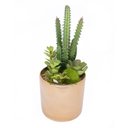 Ver imagem 1 de Vaso Decorativo Dourado com Cactos e Suculenta Artificial 19x8 Cm F04 - D'Rossi