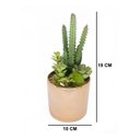 Ver imagem 3 de Vaso Decorativo Dourado com Cactos e Suculenta Artificial 19x8 Cm F04 - D'Rossi