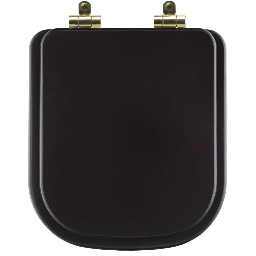 Assento Sanitário Poliéster Soft Close Piano Marrom Fosco para Vaso Deca com Ferragem Dourada - 1