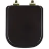 Assento Sanitário Poliéster Soft Close Piano Marrom Fosco para Vaso Deca com Ferragem Dourada - 1