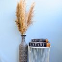 Ver imagem 1 de Kit com 3 Hastes de Capim Dos Pampas Desidratado