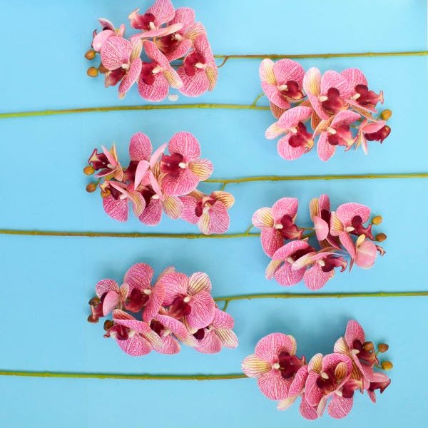 Kit Com 12 Unidades de Orquídea Artificial Rosa 3D| Formosinha