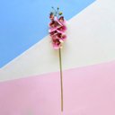 Ver imagem 4 de Haste Orquídea Artificial Rosa e Amarela - Kit 12 Unidades | Formosinha