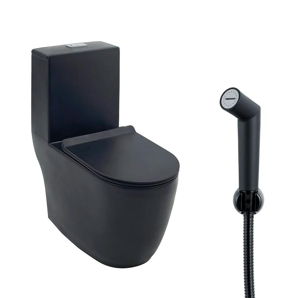 Kit Vaso Sanitário Monobloco Amazonita e Ducha Higiênica para Banheiro Apa - Preto - 1