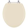 Assento Sanitario Poliester Contemporary Marfim (bege Claro) para Vaso Hervy - 1