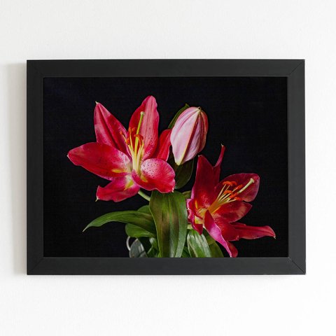 Quadro Lírio Tarrango Flores Foto Moldura Preta 60x40cm