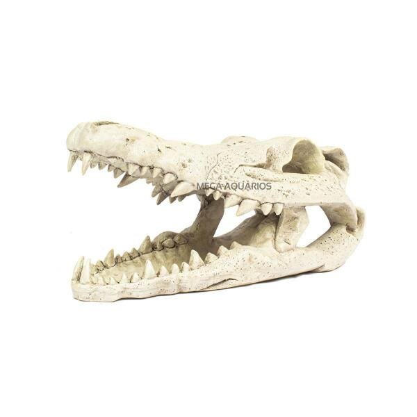 Enfeite Aquário Esqueleto Cabeça Crocodilo Pequeno 54100