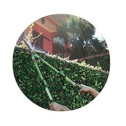 Tesoura De Podar Galhos + Cerca Viva + Flores Trapp - 8