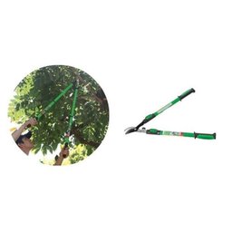 Tesoura De Podar Galhos + Cerca Viva + Flores Trapp - 9