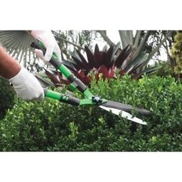 Tesoura De Podar Galhos + Cerca Viva + Flores Trapp - 7