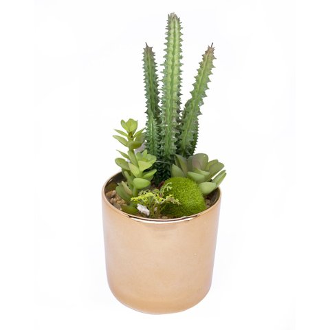 Vaso Decorativo Dourado com Cactos e Suculenta Artificial 19x8 cm F04 - D’Rossi