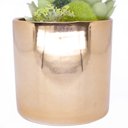 Ver imagem 4 de Vaso Decorativo Dourado com Cactos e Suculenta Artificial 19x8 cm F04 - D’Rossi