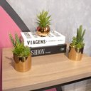 Ver imagem 2 de Vaso Decorativo Dourado com Cactos e Suculenta Artificial 19x8 cm F04 - D’Rossi