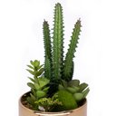 Ver imagem 3 de Vaso Decorativo Dourado com Cactos e Suculenta Artificial 19x8 cm F04 - D’Rossi