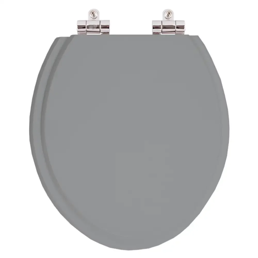 Assento Sanitario com Amortecedor Convencional Oval Cinza Escuro - 1