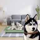 Ver imagem 5 de Caminha Pet Cama Cachorros Confortável e Higiênica Acrimet