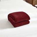 Ver imagem 6 de Cobertor Casal Manta Microfibra Fleece