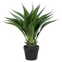 Ver imagem 1 de Planta Artificial Agave no Vaso – 50 cm
