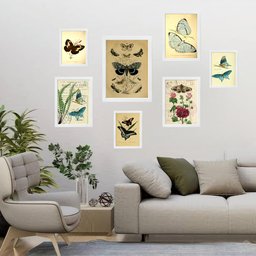 Kit 7 Quadros Decorativos Borboletas:moldura Preta - 2