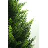 Pinheiro Cipreste Arvore Verde Folhagem Artificial 90cm - 5