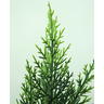 Pinheiro Cipreste Arvore Verde Folhagem Artificial 90cm - 4