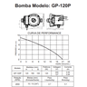 Bomba Pressurizadora Gp-120 Ppa - 4