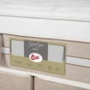 Ver imagem 4 de Cama Box Queen Castor Silver Star Air One Face Pocket 158x198x59 + Box Castor