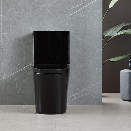 Vaso Sanitário Monobloco Completo - Caixa Acolpada com Assento Cor Preto - 4