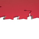 Ver imagem 4 de Disco de Serra Circular para Madeira 250 mm x 2.8 mm x 24 Dentes Furo 30 mm Freud FR23W001T
