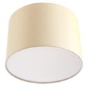 Ver imagem 1 de Lustre Plafon Cupula Dome 30x20cm Magnífico Bege