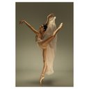 Ver imagem 2 de Quadro Bailarina Nude Luxo - Tela Única Decor Arte RJ