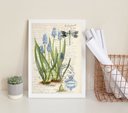 Ver imagem 2 de Quadro Decorativo Vintage Home- Botânica 24x18cm:madeira Preta