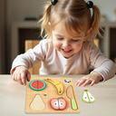 Ver imagem 3 de Brinquedo Didático Cortando Alimento Frutas Tokky Toy 10 Pç