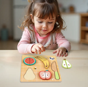 Ver imagem 2 de Brinquedo Didático Cortando Alimento Frutas Tokky Toy 10 Pç