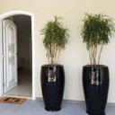 Ver imagem 7 de Vaso de Fibra de Vidro Atenas g 90cm Vitrificado Grande Preto Brilhante
