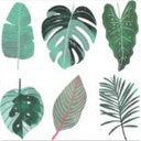 Ver imagem 2 de Quadro decorativo Botanica moldura pinus 20x20