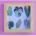Ver imagem 1 de Quadro decorativo Botanica moldura pinus 20x20