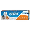Massa Adesiva Epóxi 100G Polipox Polipox - 3