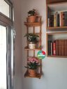 Ver imagem 4 de Prateleira, Floreira, Jardim Vertical, Painel de Plantas P7