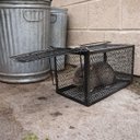 Ver mais imagens de Ratoeira Gaiola Grande Kit 7 Uni Pega Roedores Rato Ratazana Camundongos Captura Protecao Casa Jardi