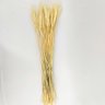Trigo Desidratado Natural Capim Folhagem Planta 70x9cm Maço - 2