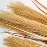 Capim Marrom Com 4 Plumas 92x12cm Planta Artificial - 3