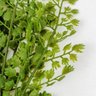 Samambaia Avenca Verde Folhagem 33x25cm Planta Artificial - 4