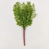 Samambaia Avenca Verde Folhagem 33x25cm Planta Artificial - 2