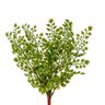 Samambaia Avenca Verde Folhagem 33x25cm Planta Artificial - 1