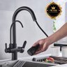 Torneira de Cozinha Extensível Monocomando com Saída de Água Filtrada (Versátile - Black) - 9