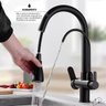 Torneira de Cozinha Extensível Monocomando com Saída de Água Filtrada (Versátile - Black) - 7